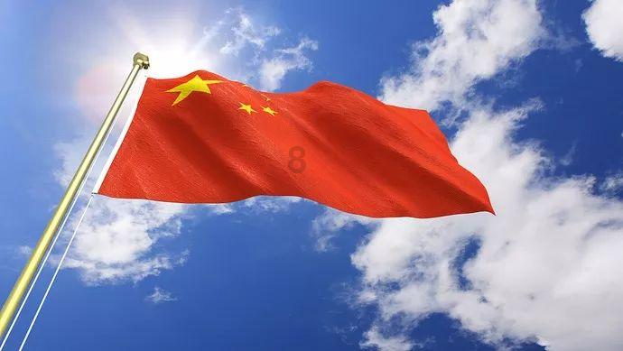 漂亮鹦鹉救援